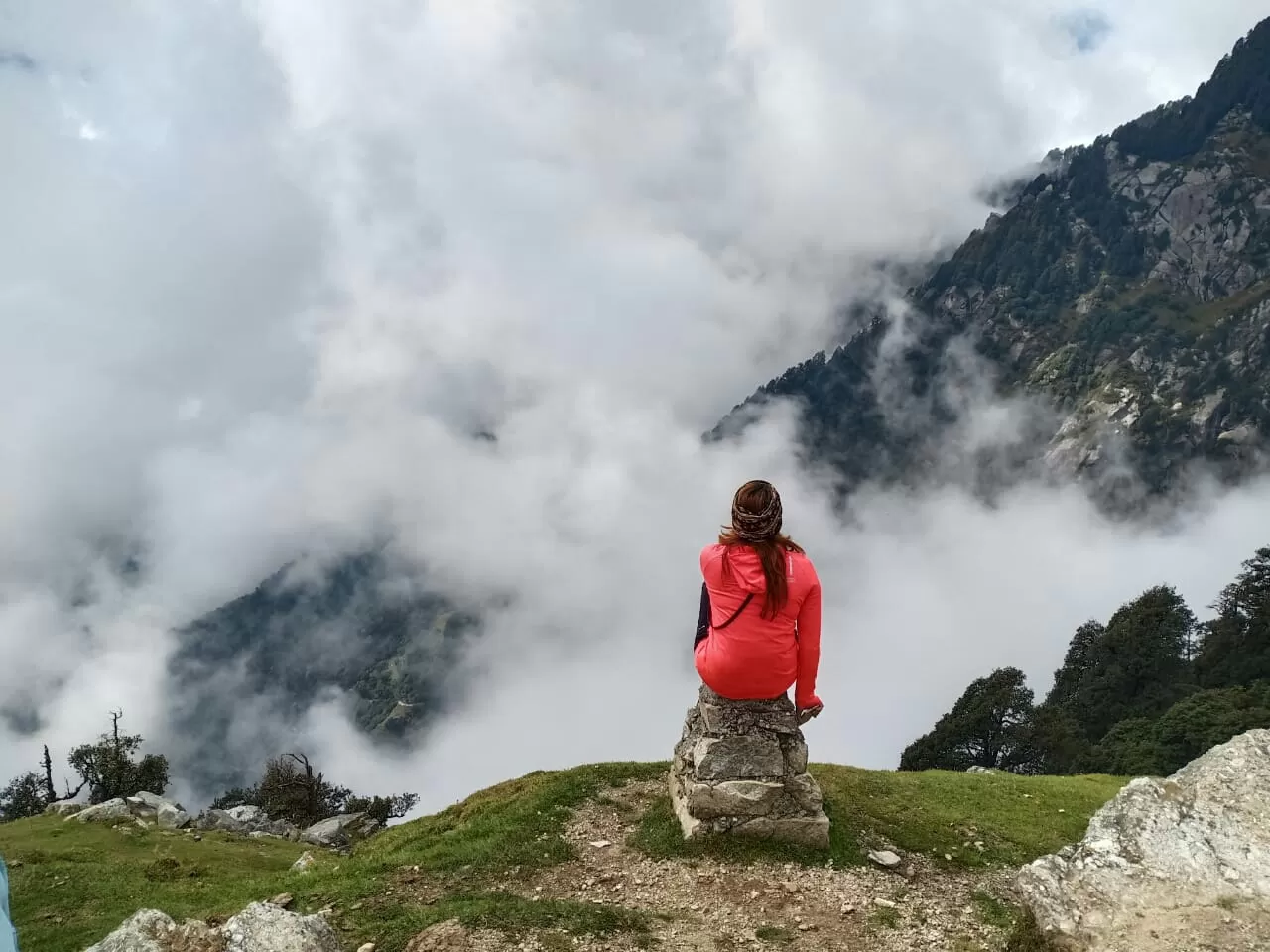 Cover Image of harsha waghmare