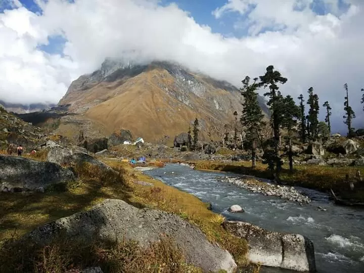 Cover Image of Surendra Rawat