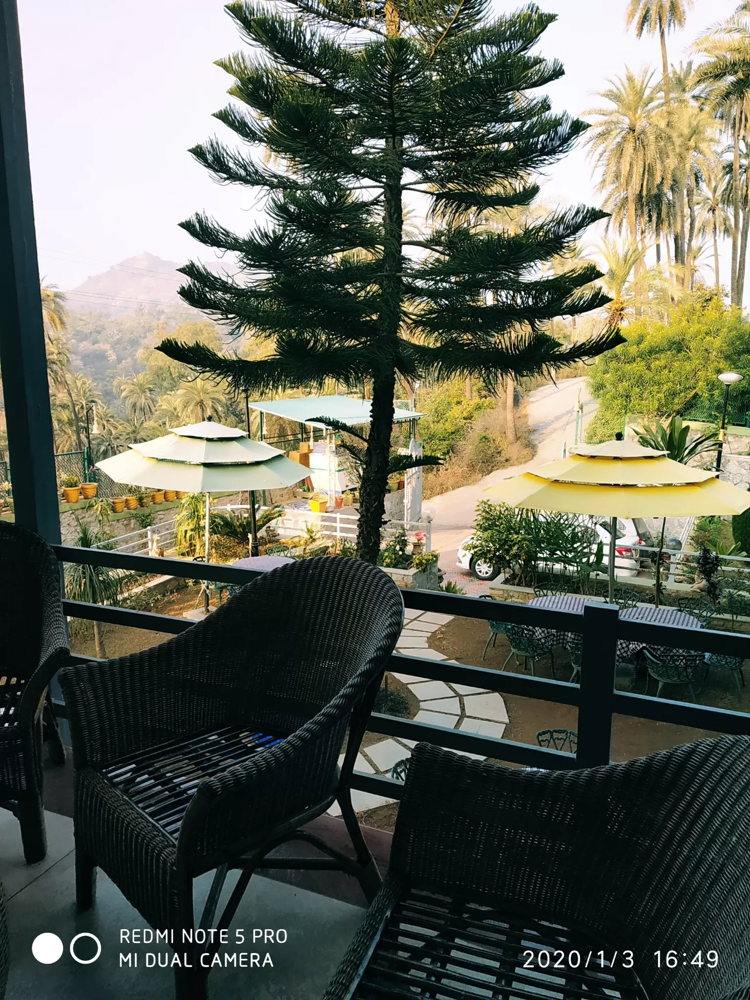 Cover Image of San Sandy