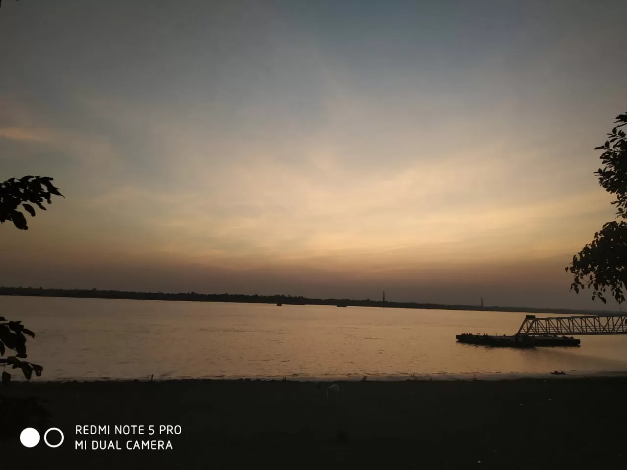 Cover Image of Payal Chanda