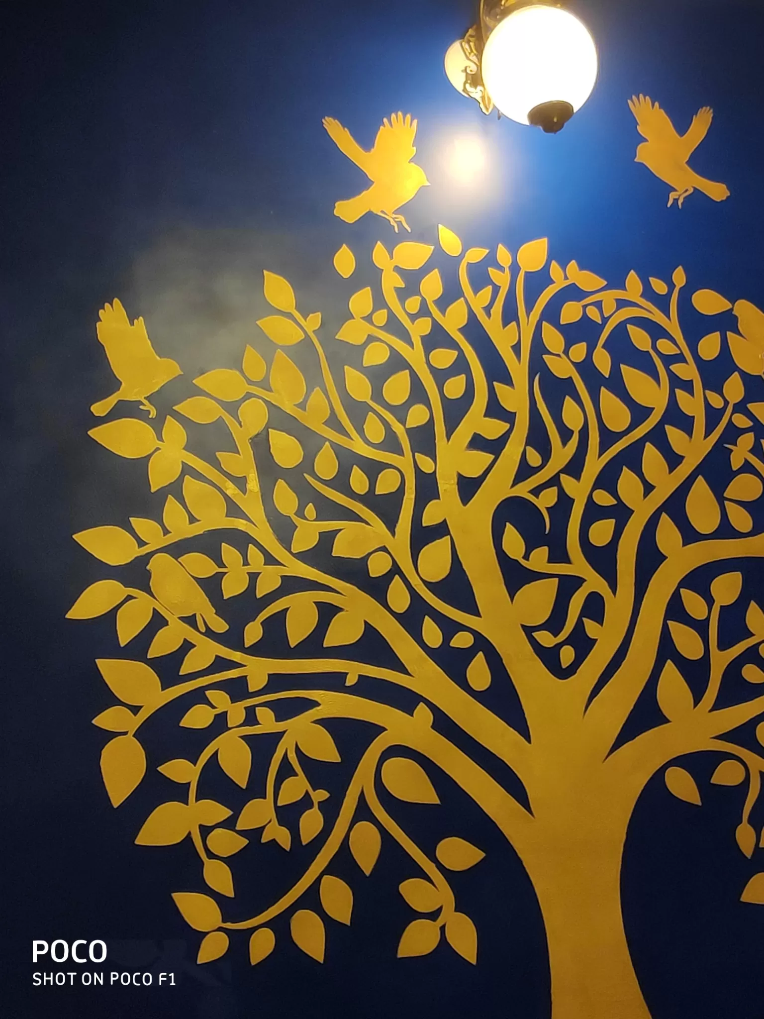 Cover Image of Sachin Kumar Keshari