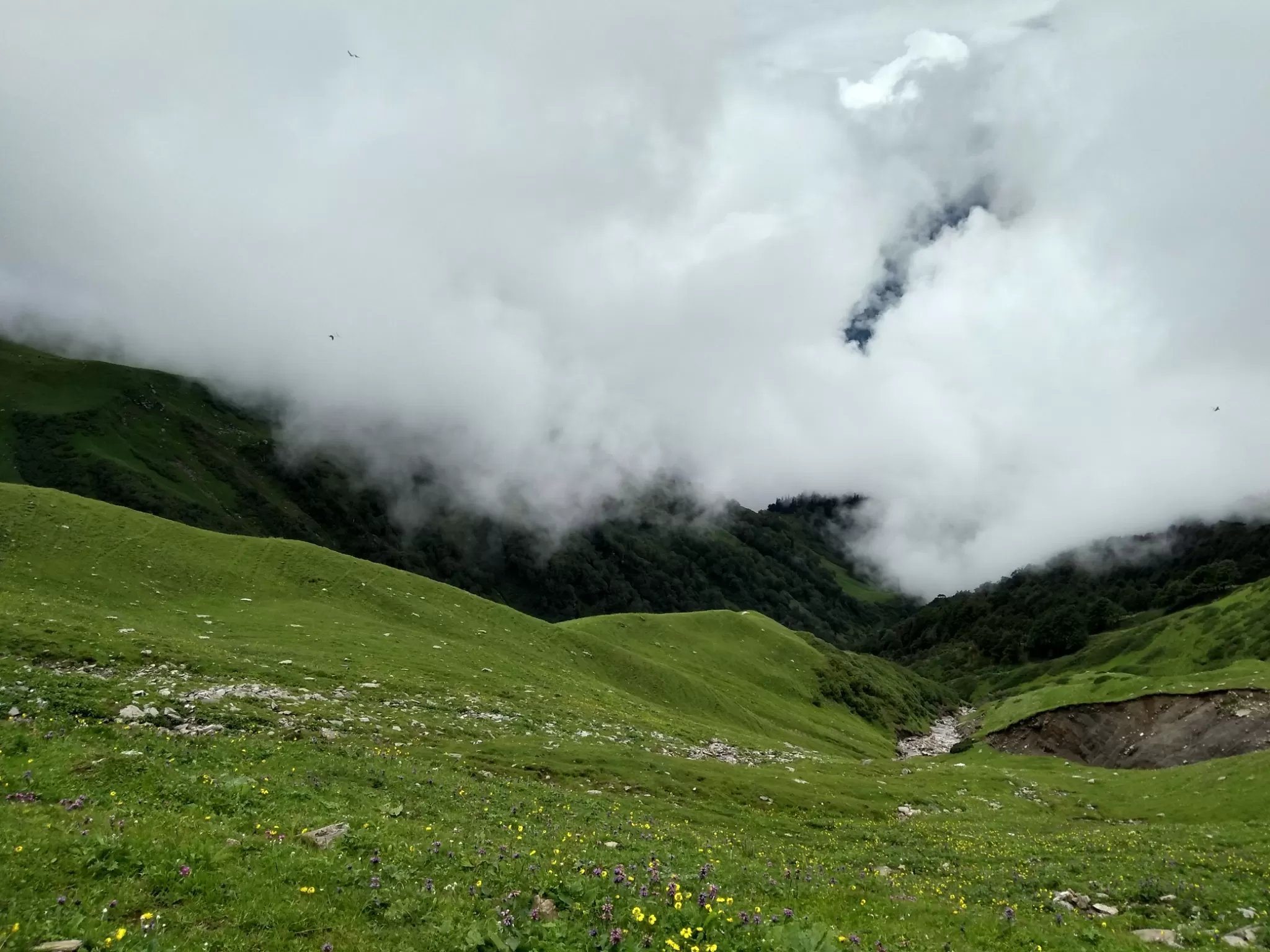 Cover Image of Sindhu Divi