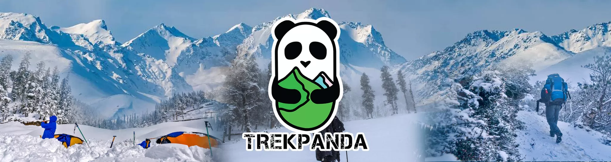 Cover Image of Trek Panda