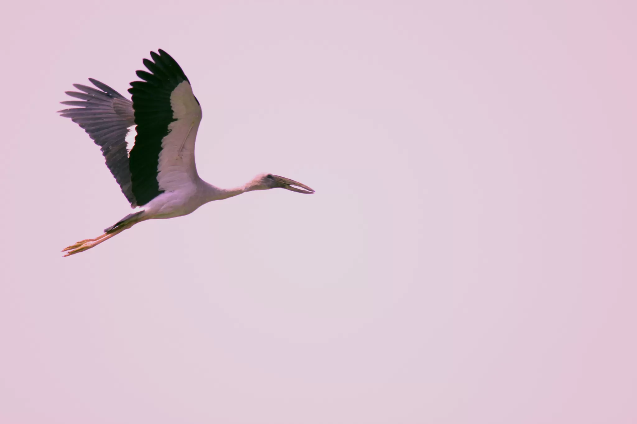 Cover Image of Praveen Sharma