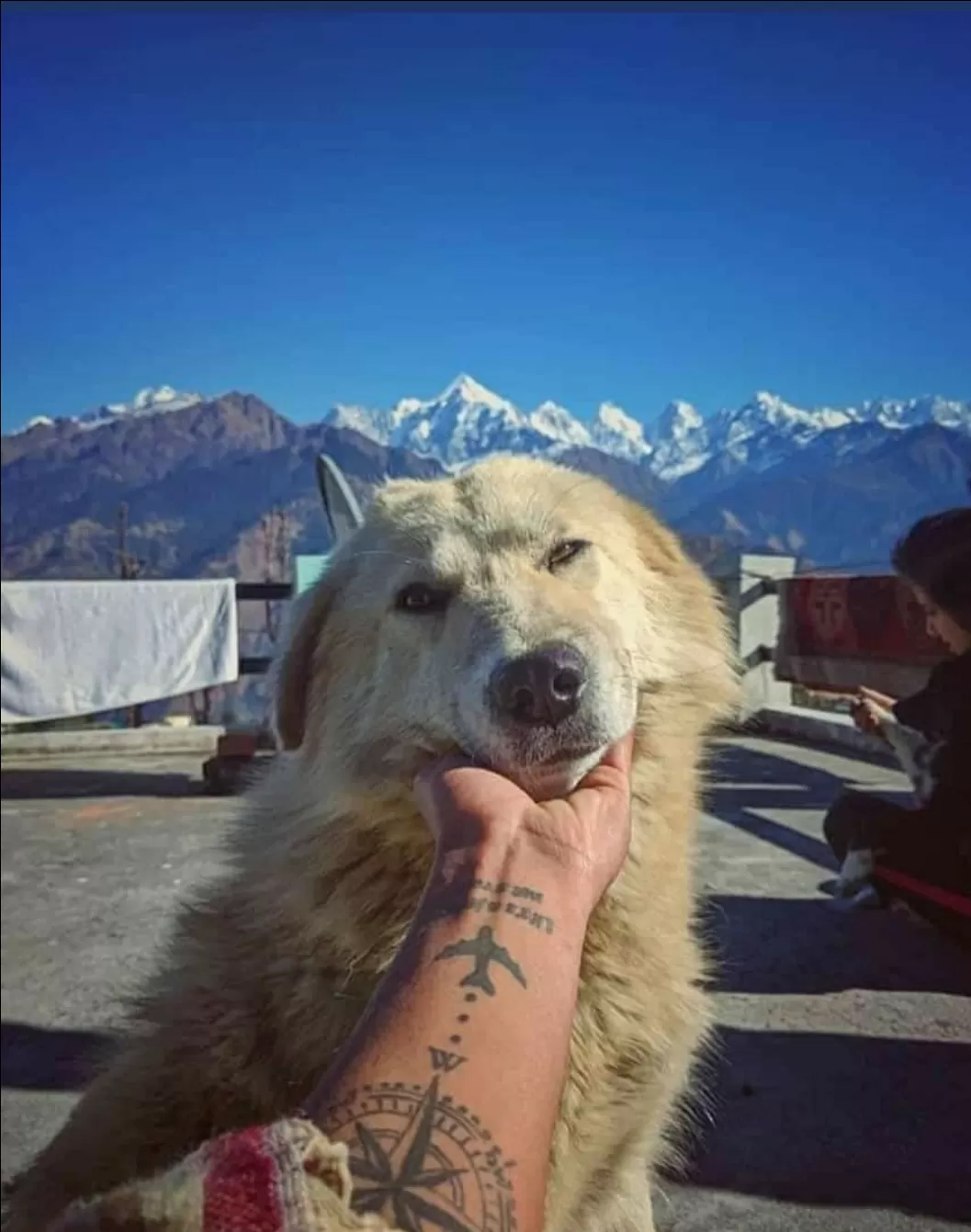 Cover Image of Ňįťeşh ŇiKś