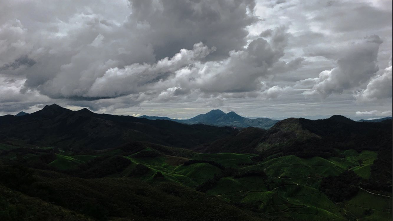 Cover Image of Thasneem