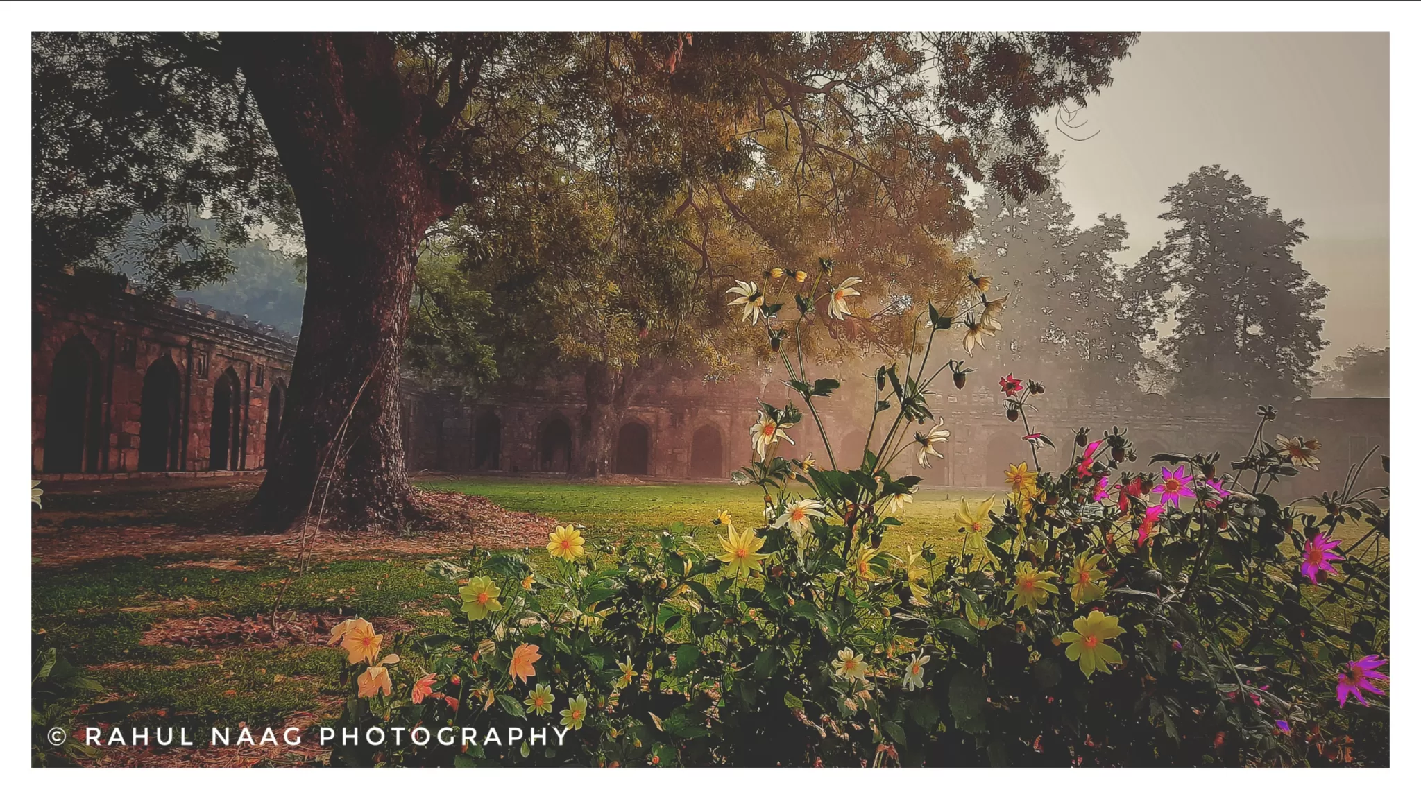 Cover Image of Rahul Naag