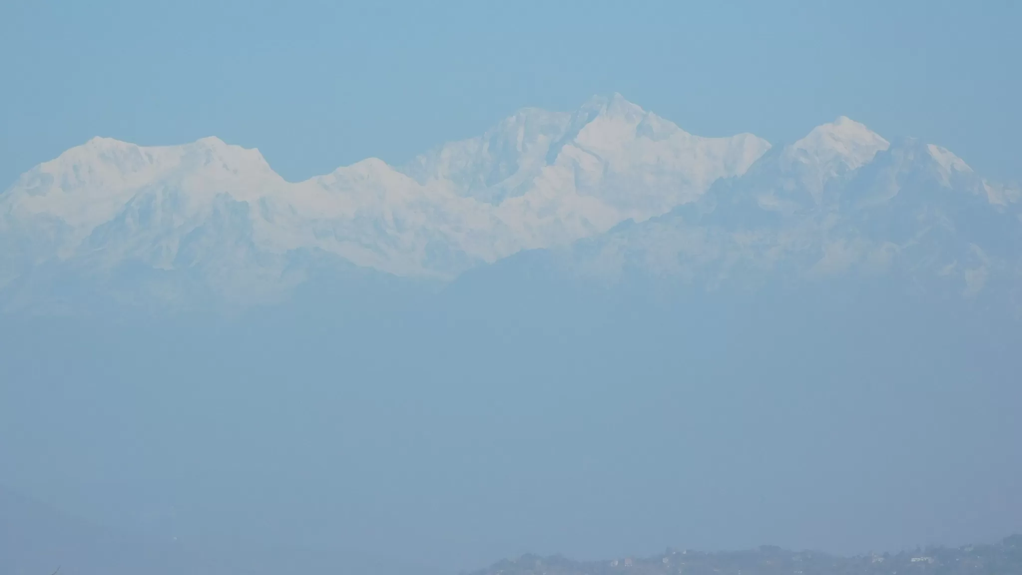 Cover Image of SOHINI PAL