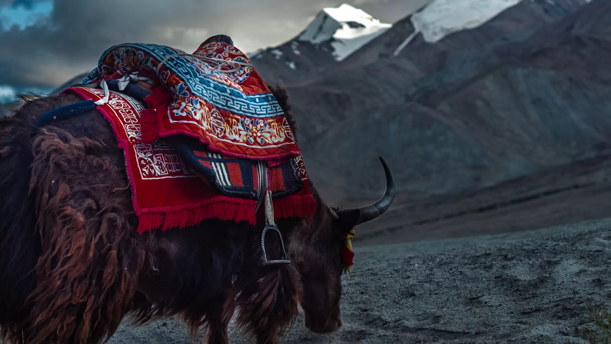 Cover Image of Onkar Patil