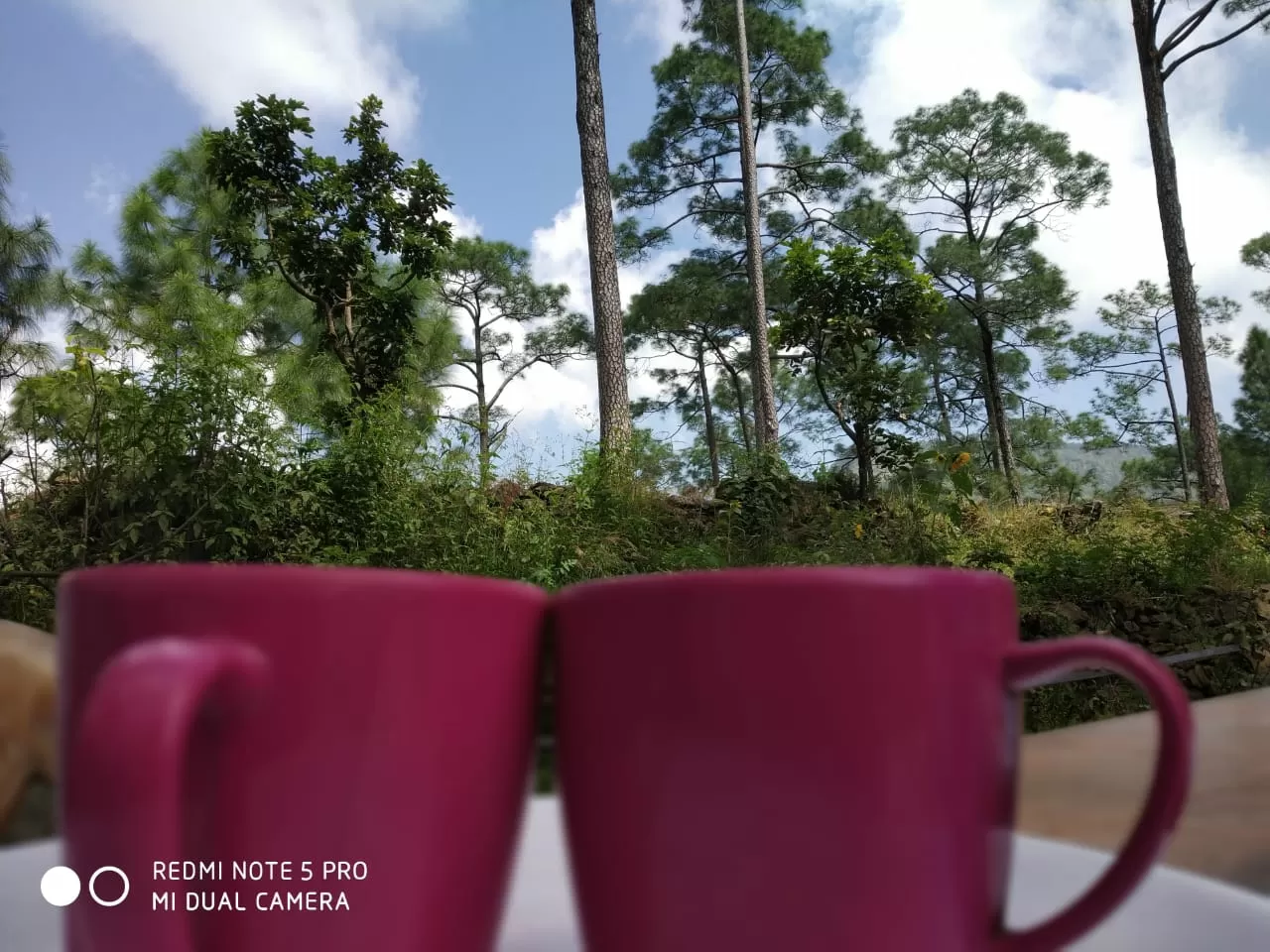 Cover Image of Varun Pandey