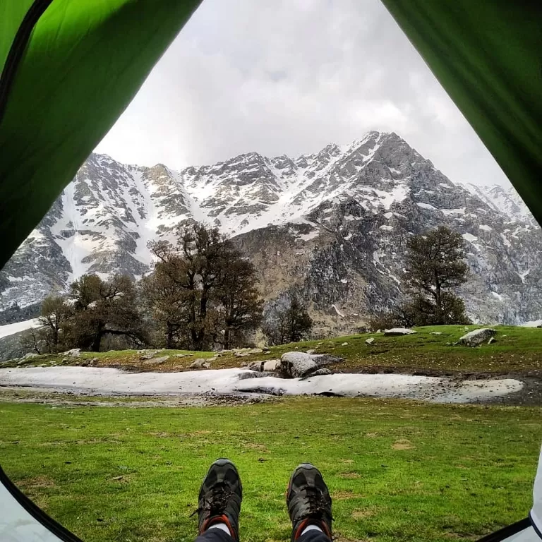 Cover Image of Prince Dogra