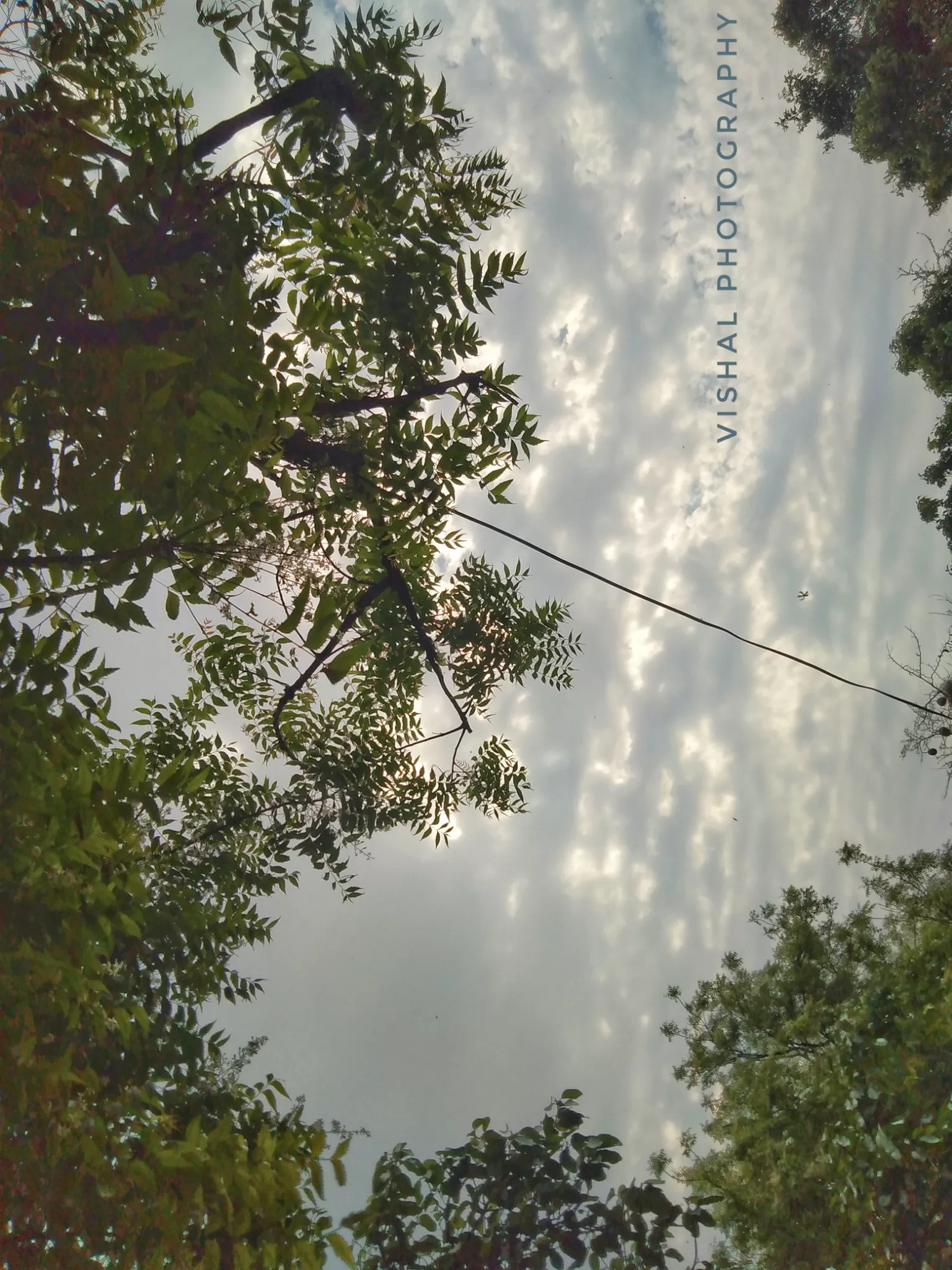 Cover Image of Vishal Nagar