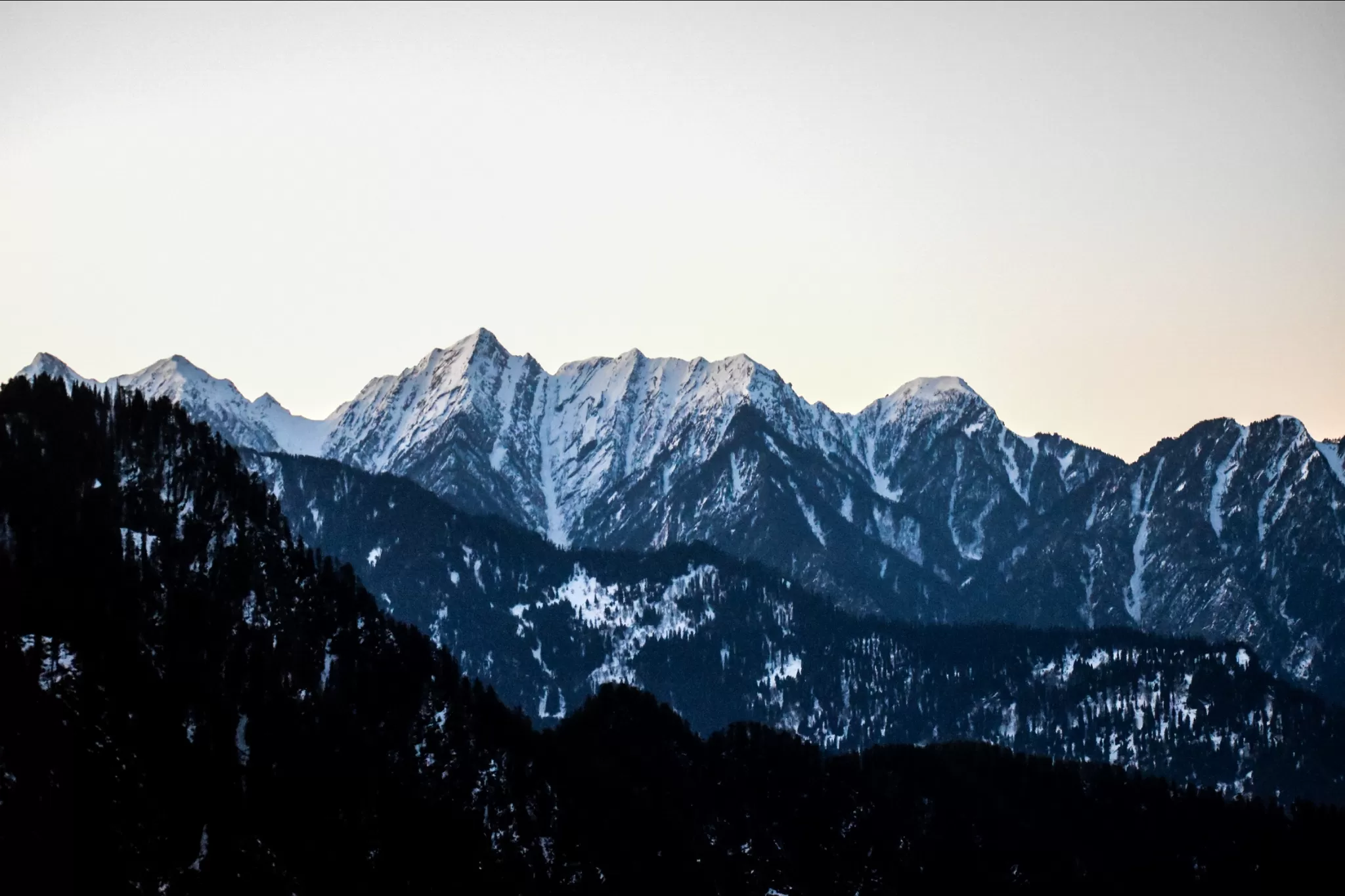 Cover Image of Xylophile