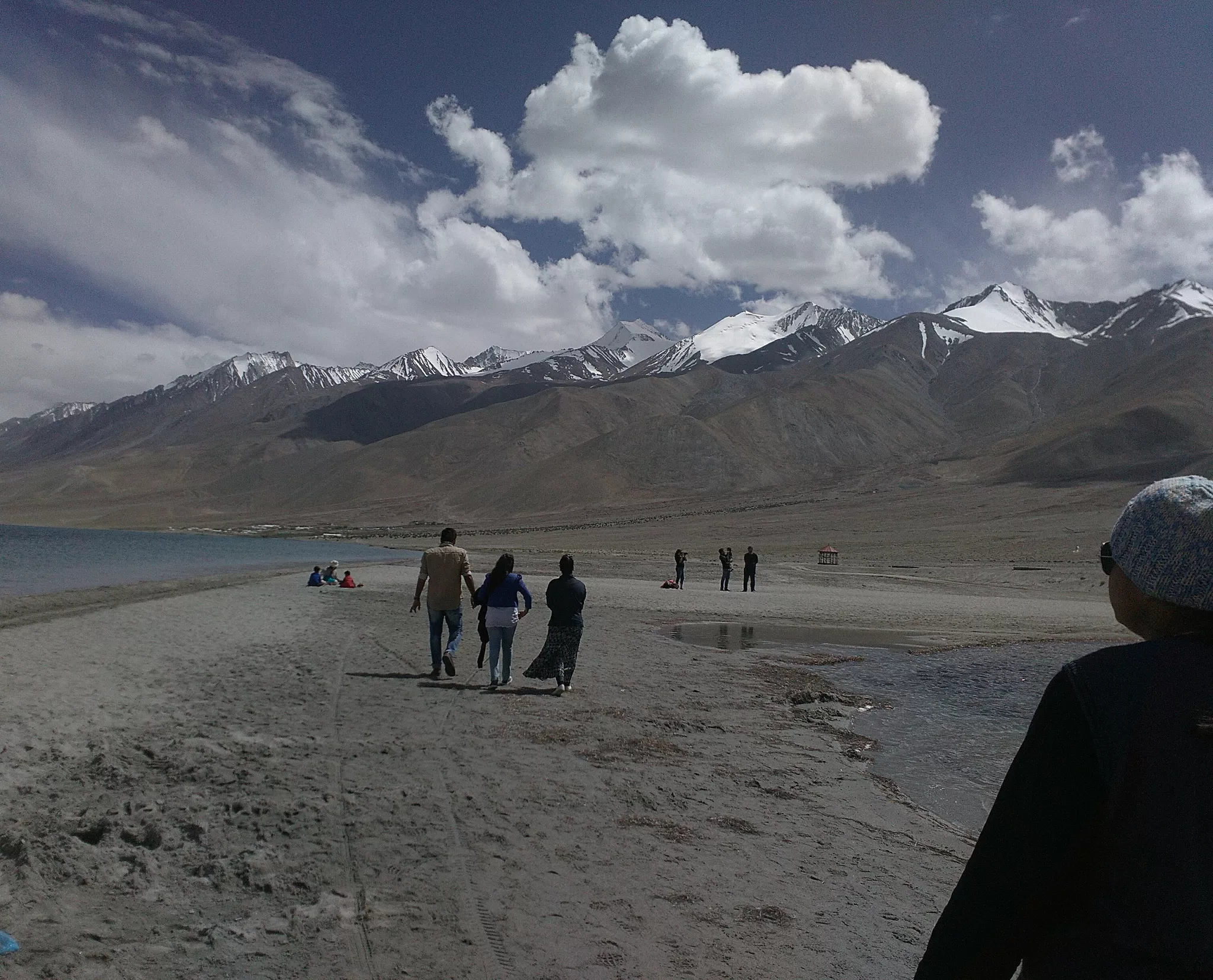 Cover Image of Sultana Shaikh