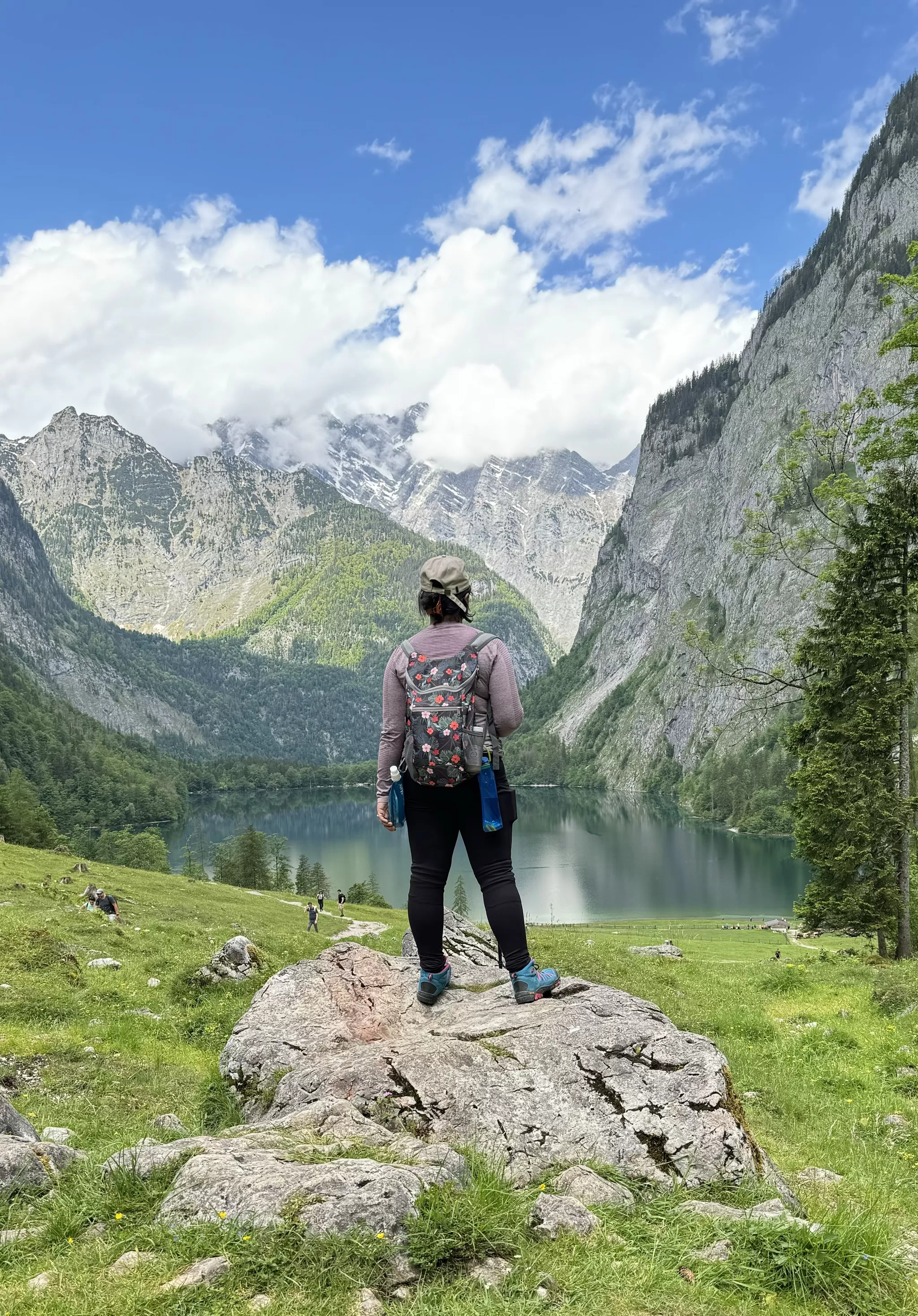 Cover Image of Sucheta Sarkar