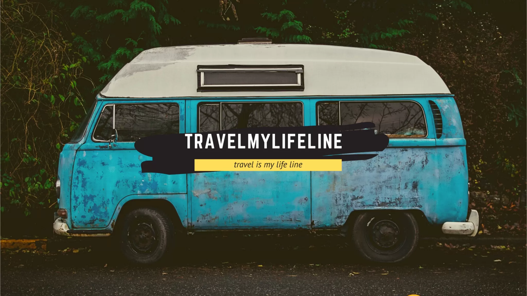 Cover Image of Travelmylifeline