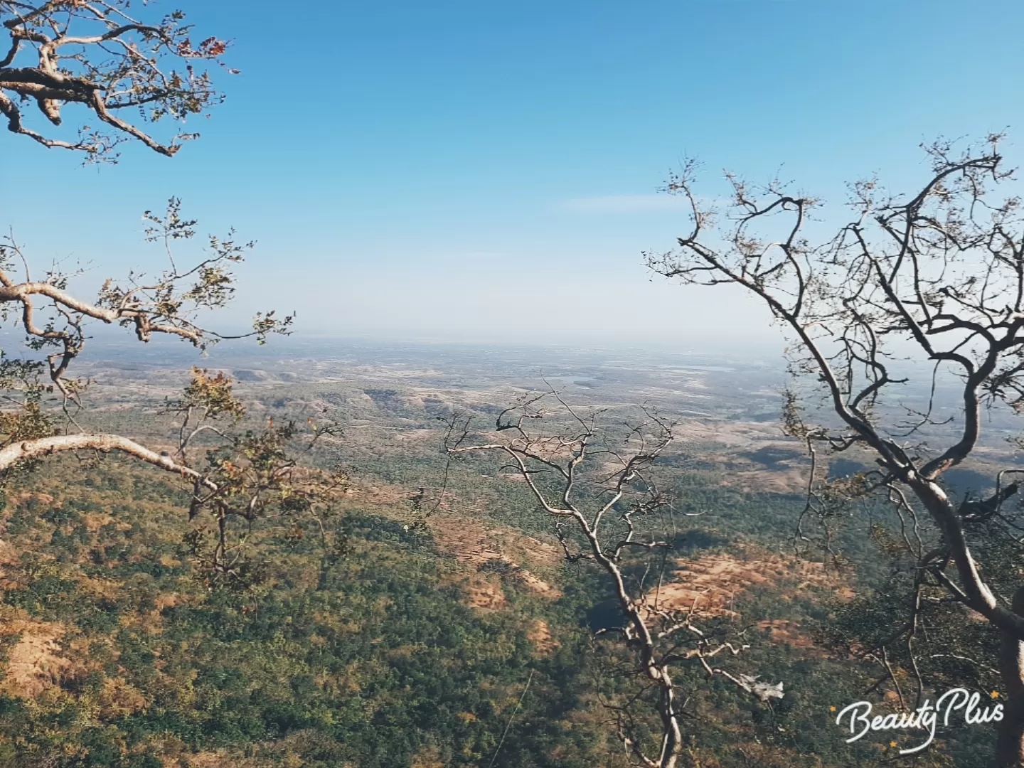 Cover Image of Sakshi Garg