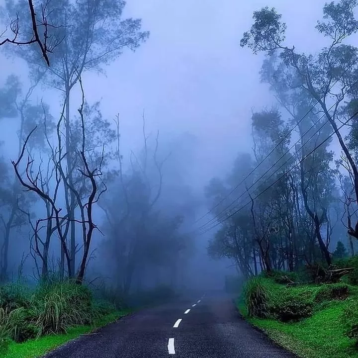 Cover Image of Zachariah Kerala