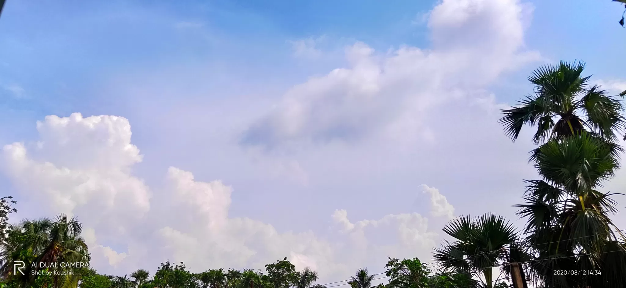 Cover Image of Koushik Middya