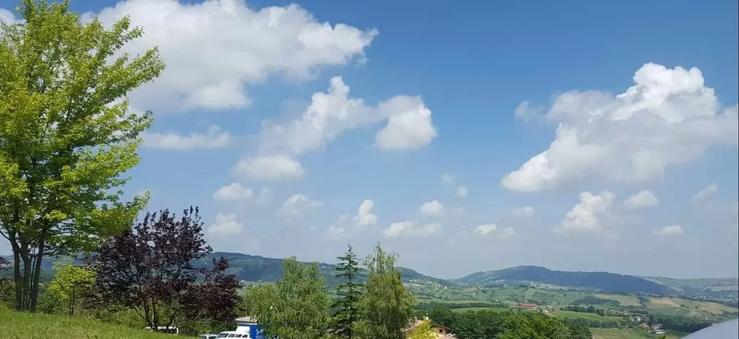 Cover Image of Ranjeet Singh