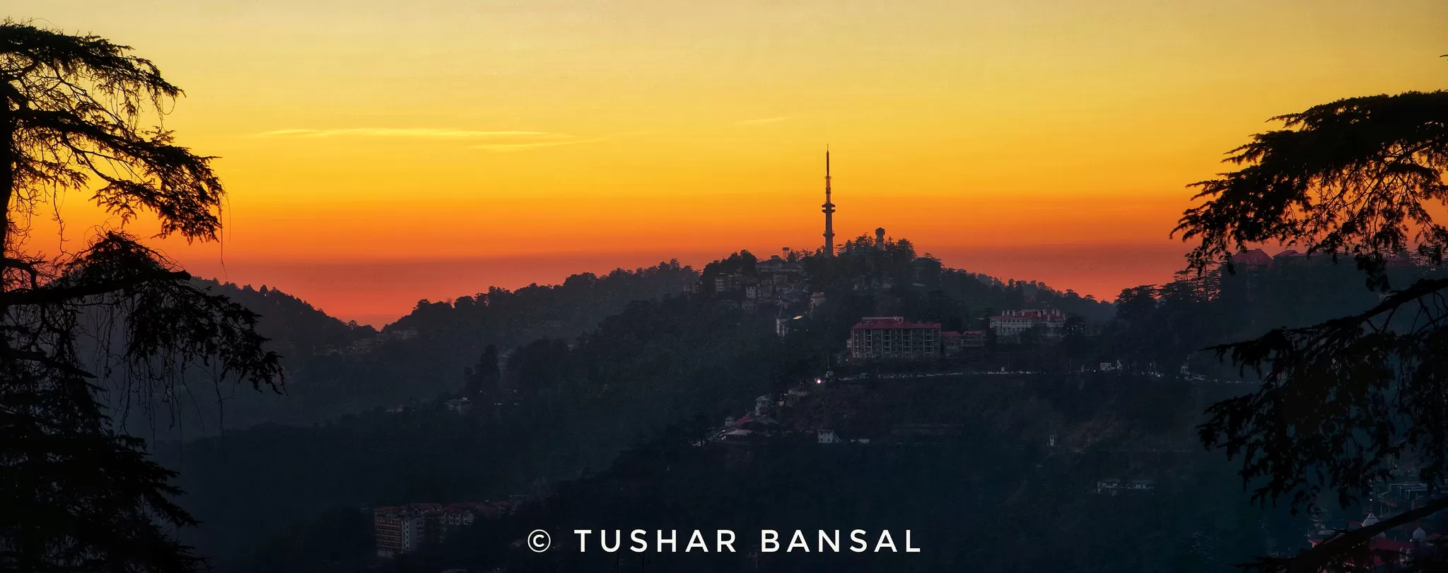 Cover Image of Tushar Bansal