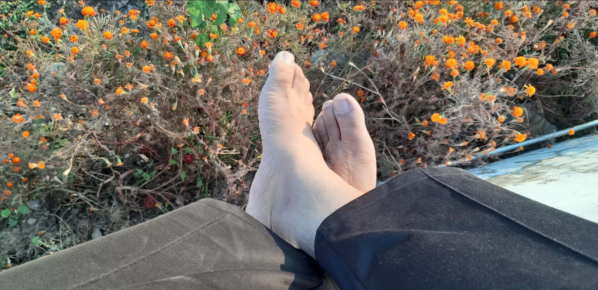 Cover Image of Gaurav Dixit