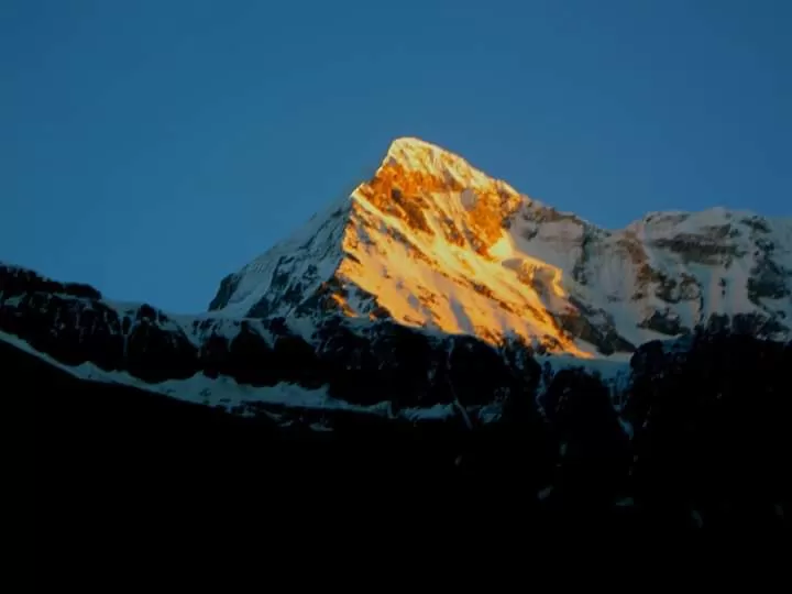 Cover Image of Suman Das