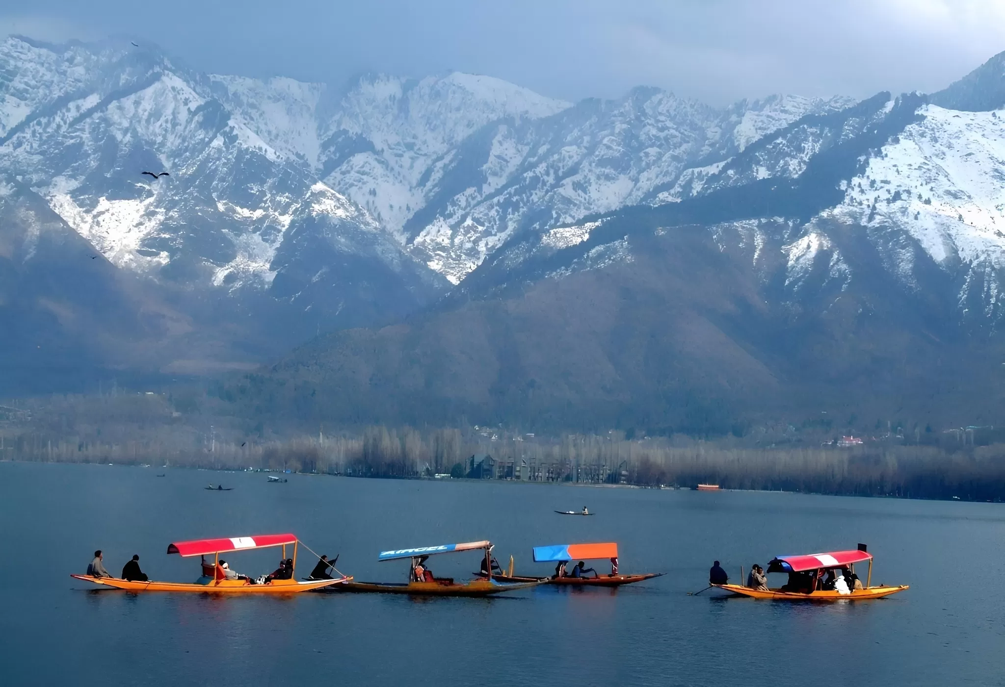 Cover Image of Nature In My Lens - Adil Rashid