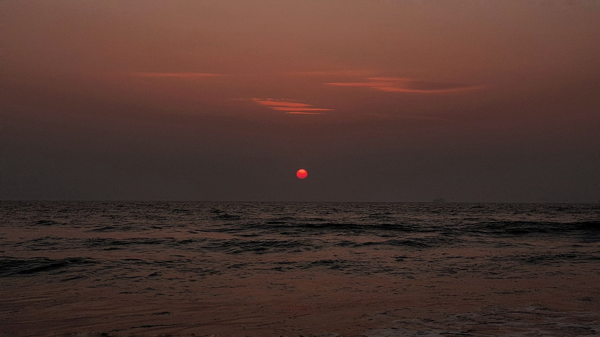 Cover Image of Lalit Sawant