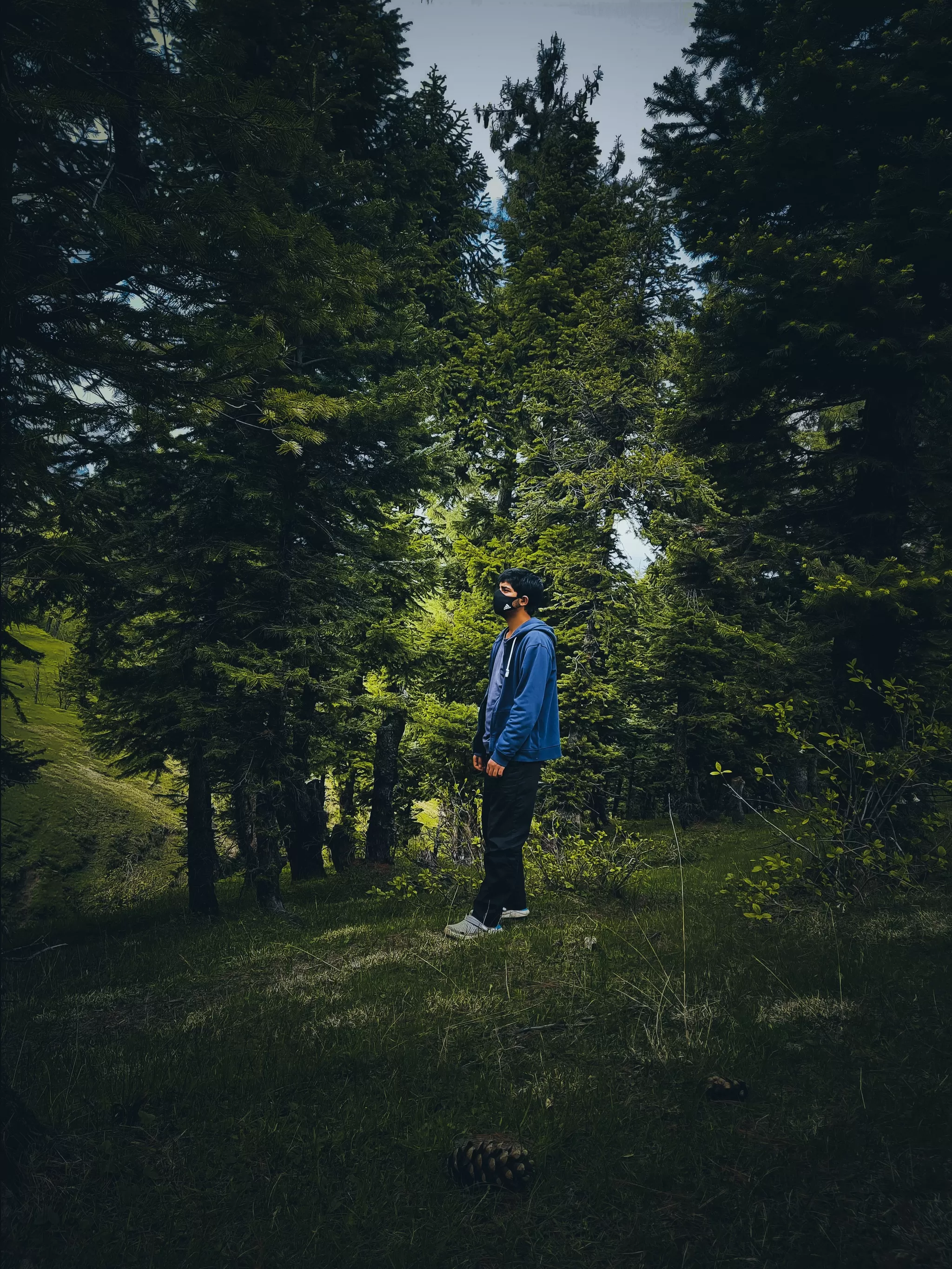 Cover Image of Kamran Elyas 