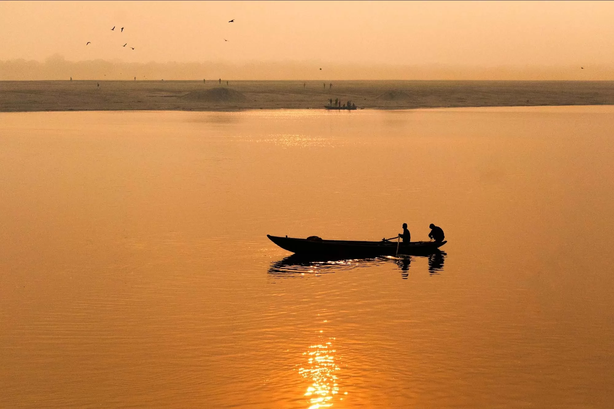 Cover Image of Ojasi