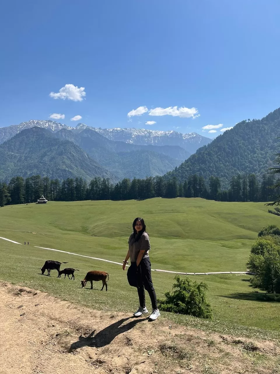 Cover Image of Harshita Kumari