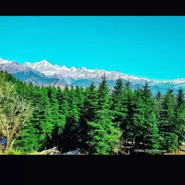 Cover Image of Thakur Kuldeep Singh Rawat