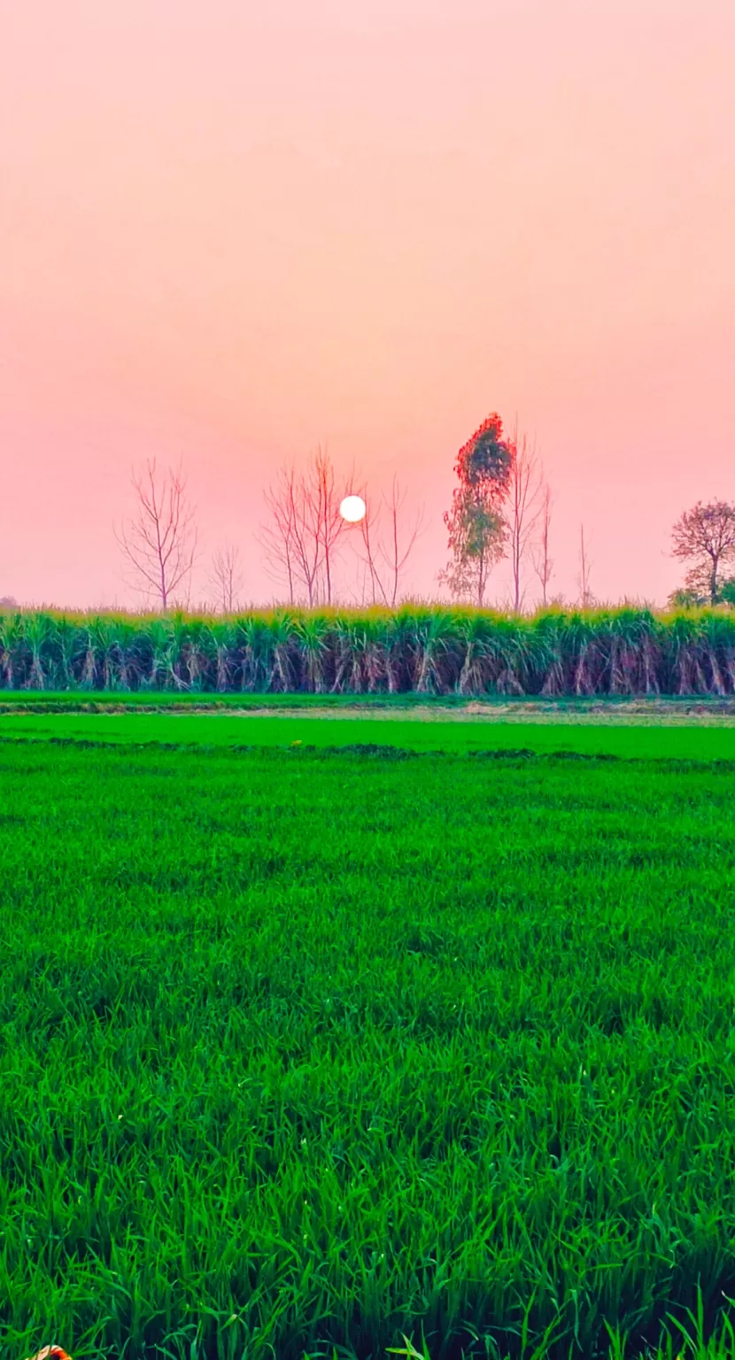 Cover Image of Bilal Ansari
