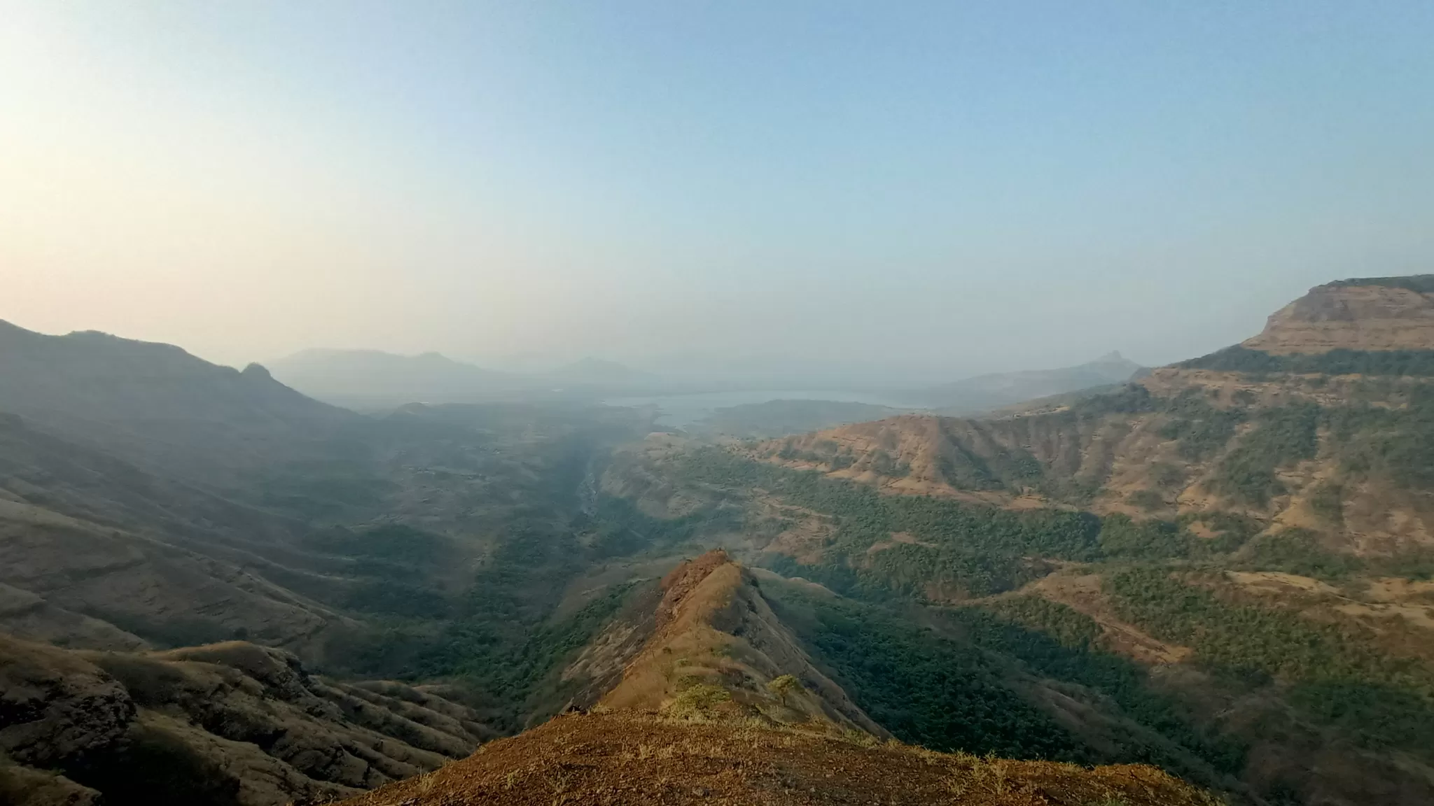 Cover Image of Cleon Torcato