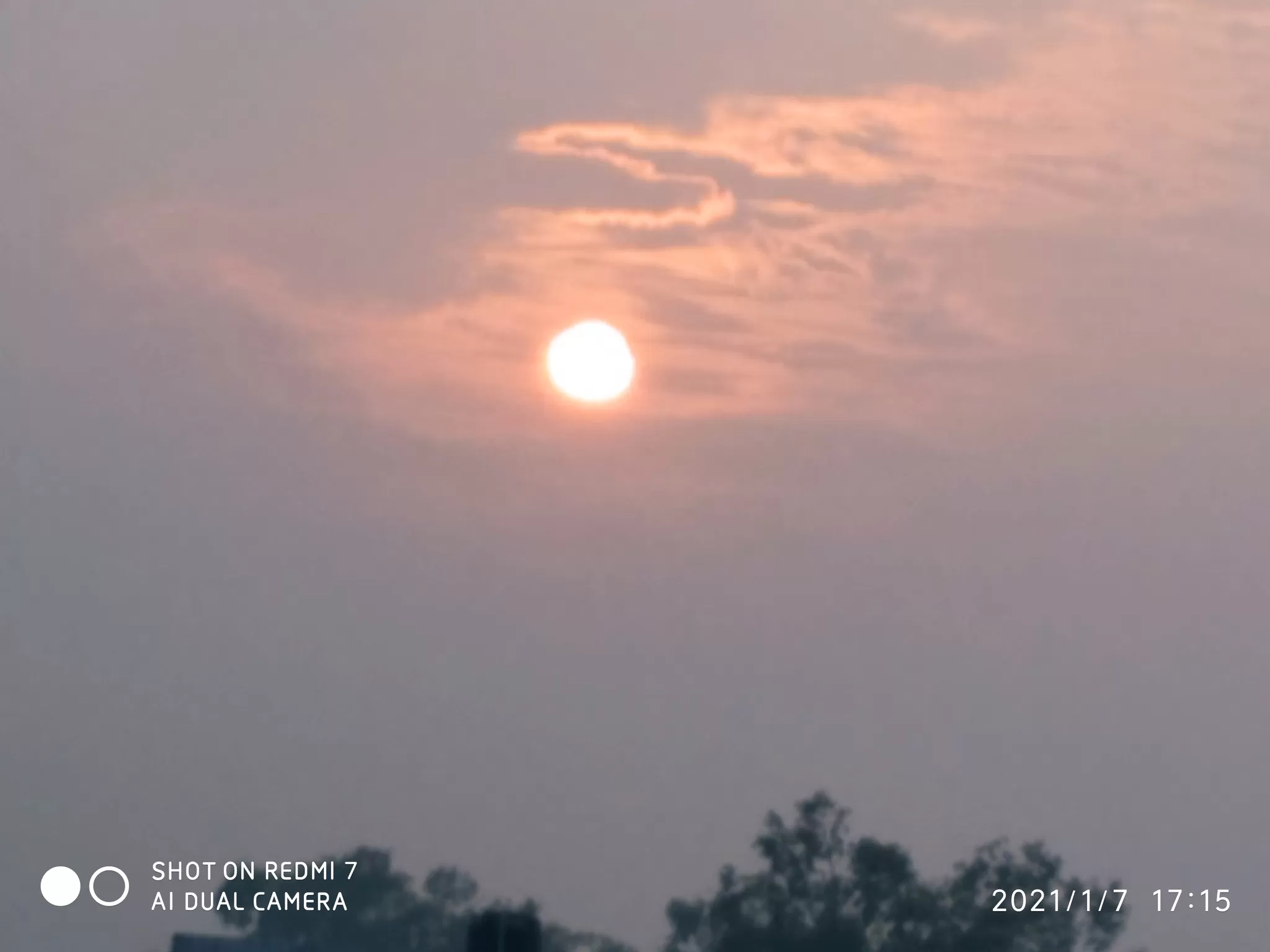 Cover Image of Richa Singh