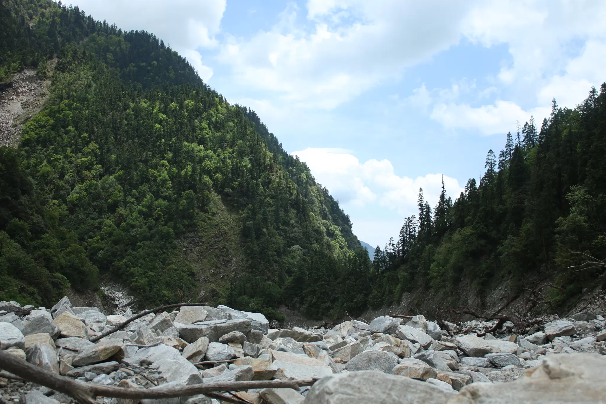 Cover Image of Megha Tank