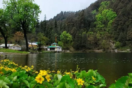 Cover Image of Sandeep Panwar