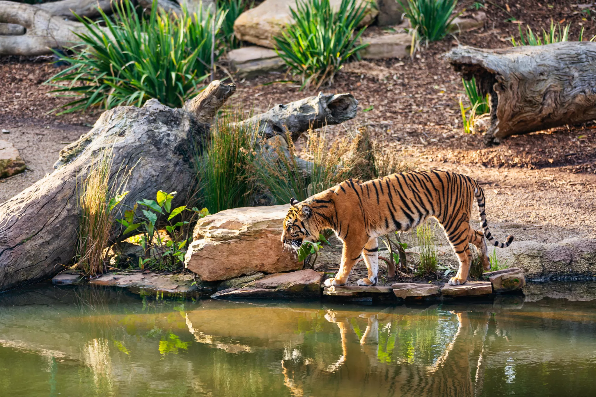 Cover Image of menincorbetttravels