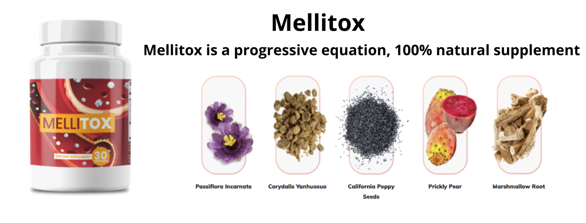 Cover Image of Mellitox info