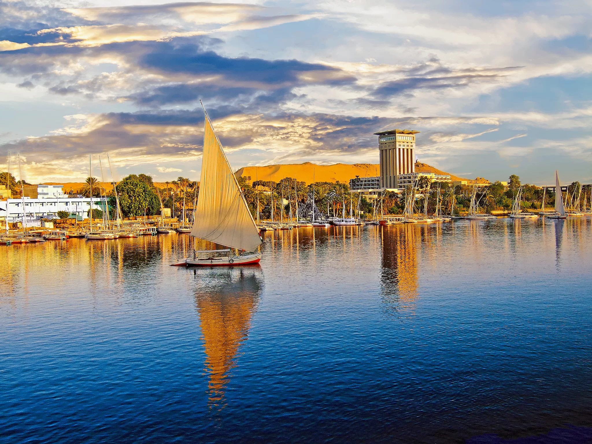 Cover Image of Hesham Elgammal