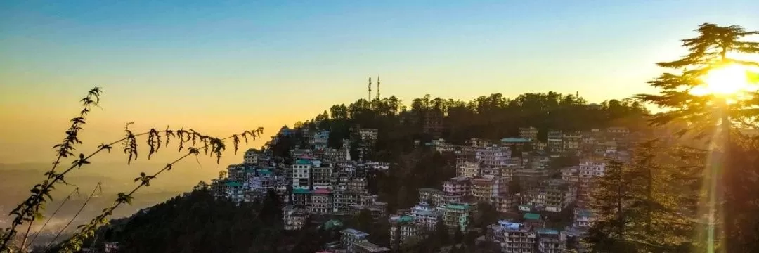 Cover Image of Sonali Maheshwari