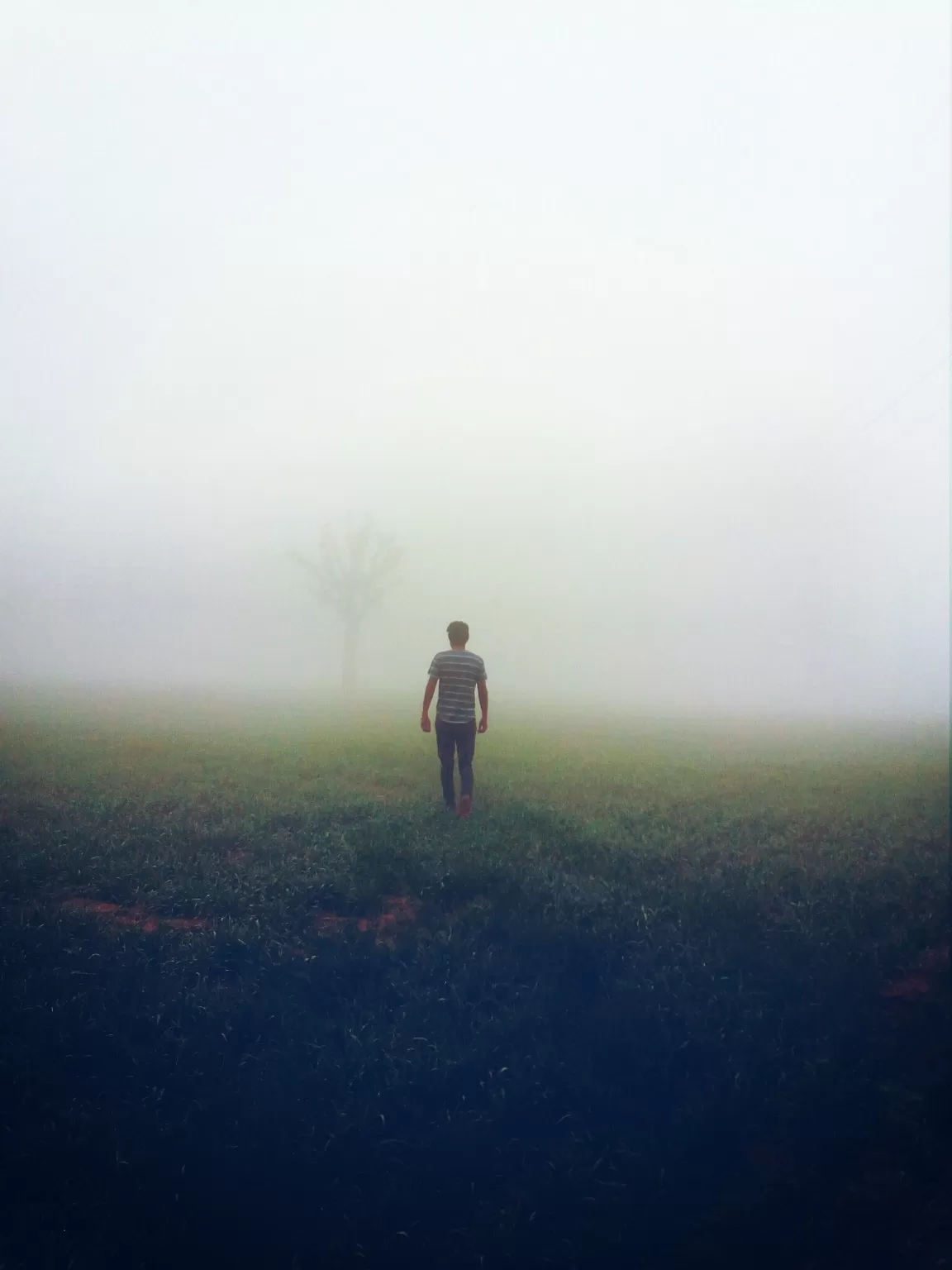 Cover Image of Mo Seen