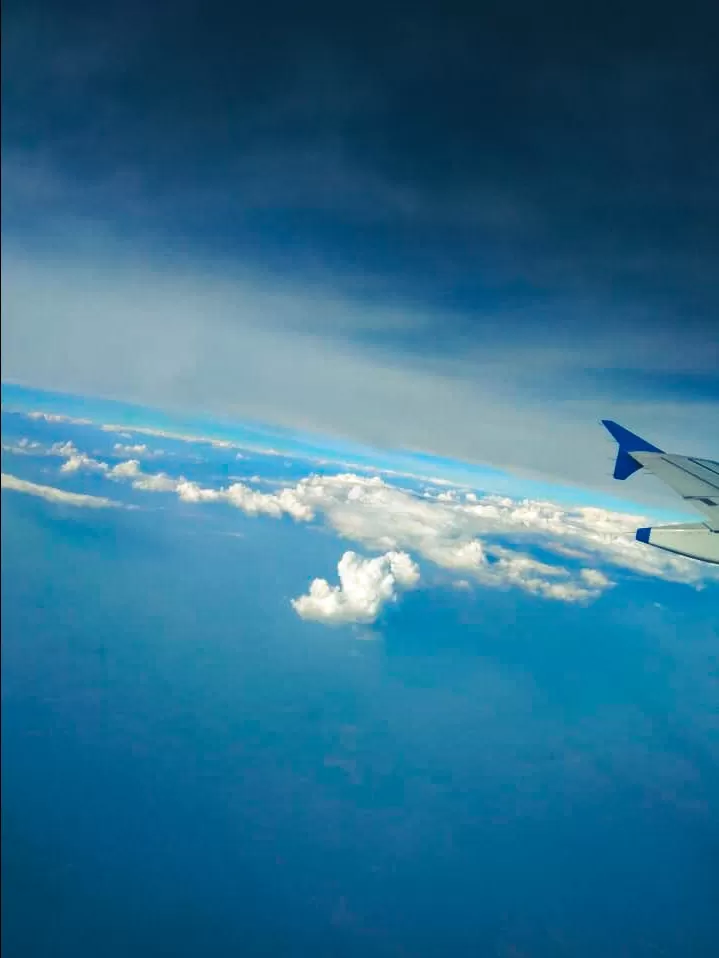 Cover Image of Punya 