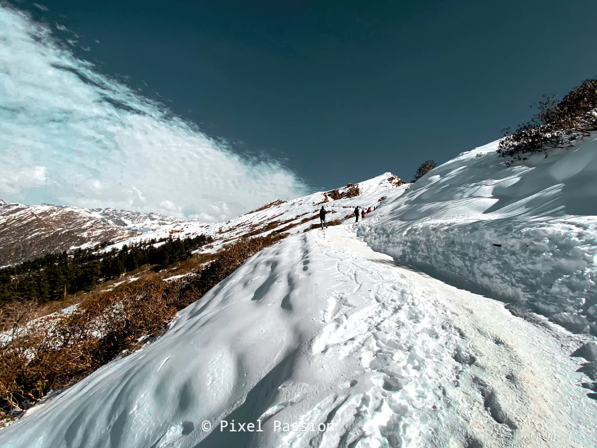 Cover Image of Kartikey Gautam