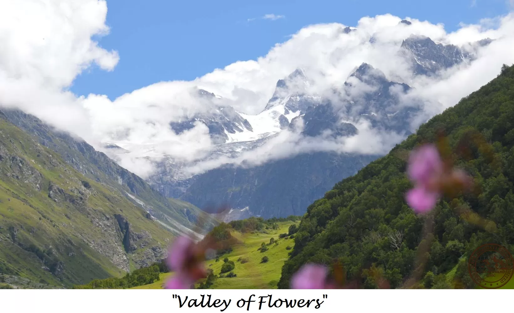 Cover Image of Three Sixty Holidays Pvt. Ltd.