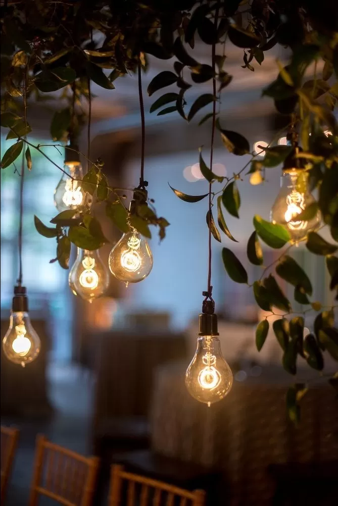 Cover Image of Abhishek Samainwala