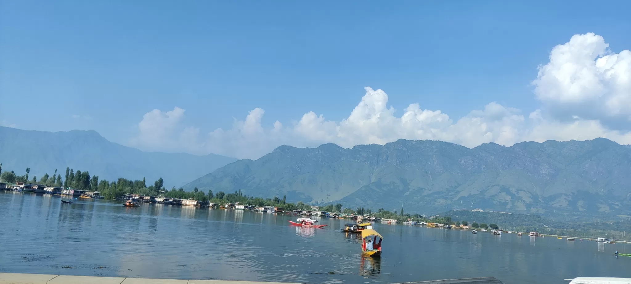 Cover Image of Anjali