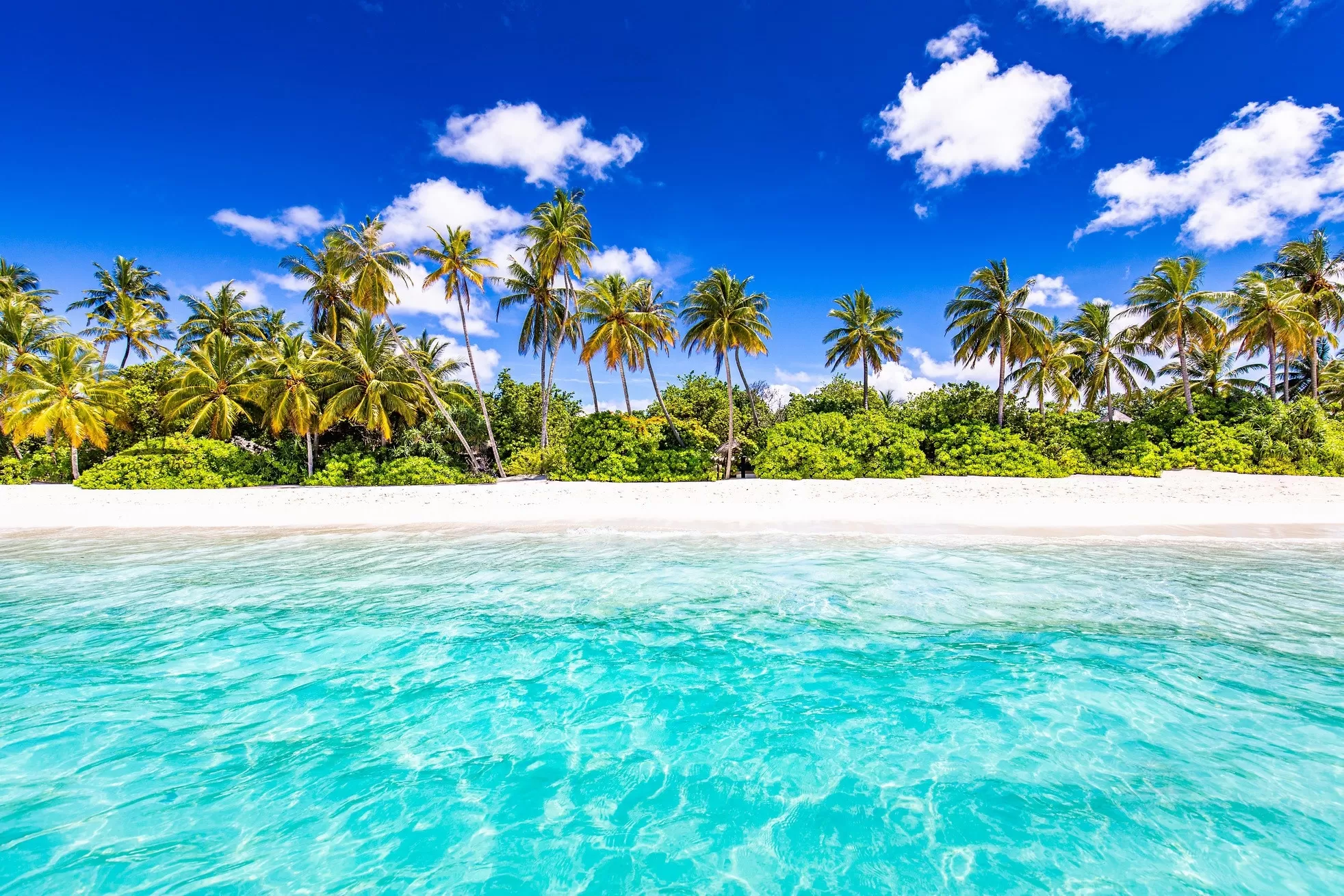 Cover Image of Escape Travel Services