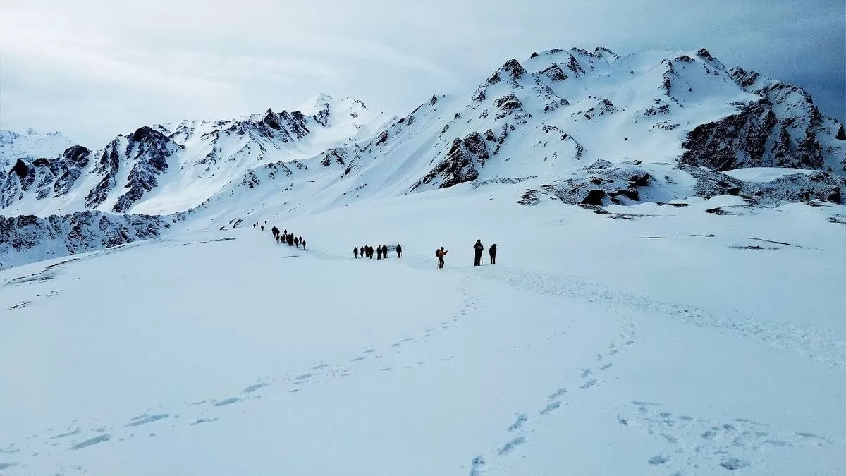 Cover Image of Syed wamick